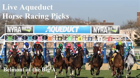 aqueduct horse racing